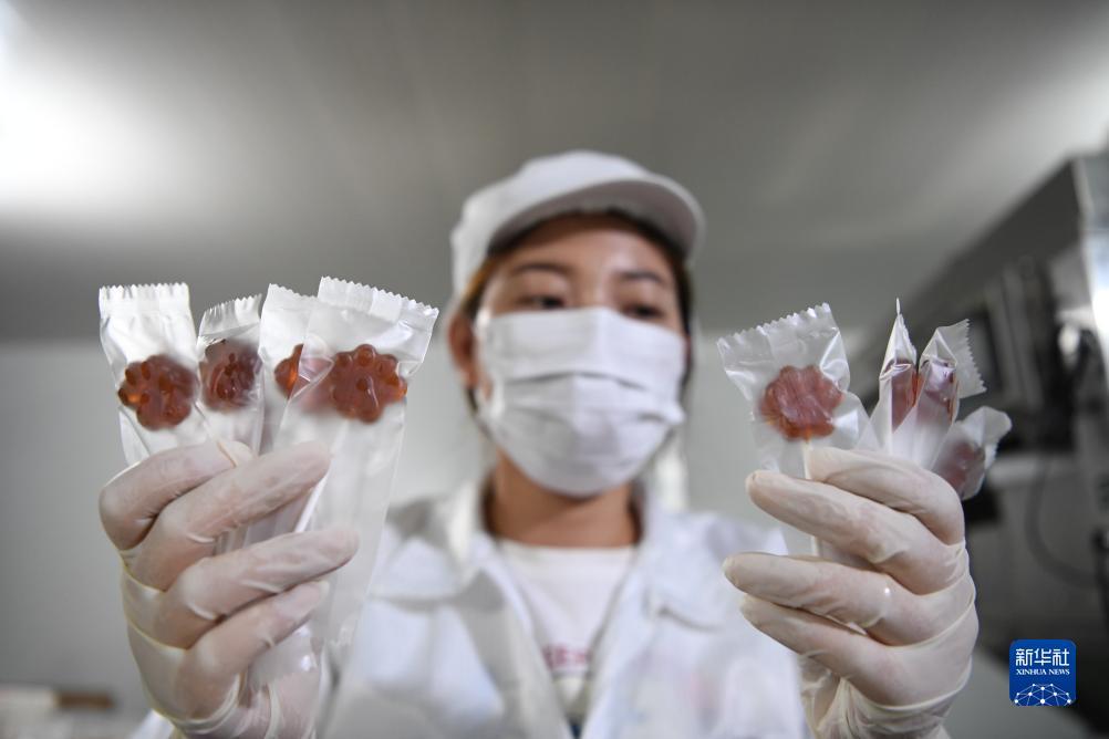 威尼斯娱乐人城